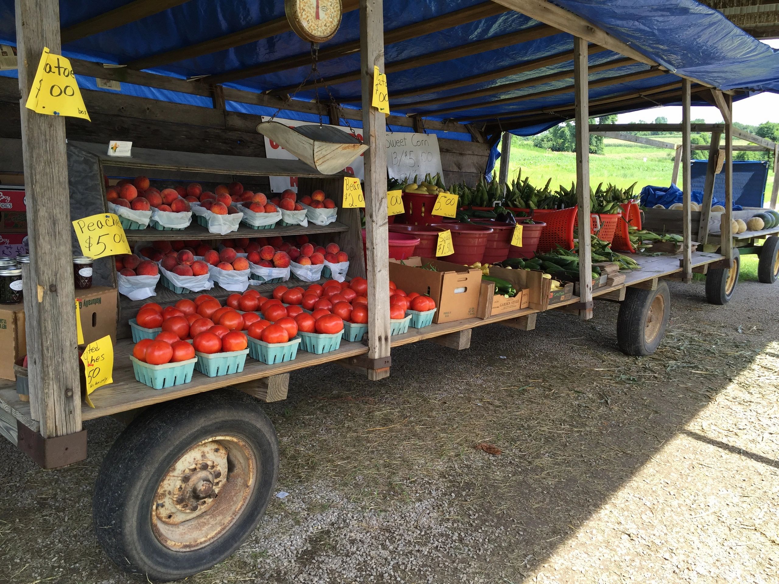 Chase's Produce Fruits and Vegetables, Fresh Produce